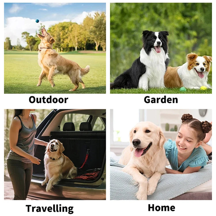 6Pcs Pet Wipes Gloves Free Cleaning Dog & Cat Wipes Puppies and Kittens Bathing Deodorization Paws Disposable Cleaning Gloves