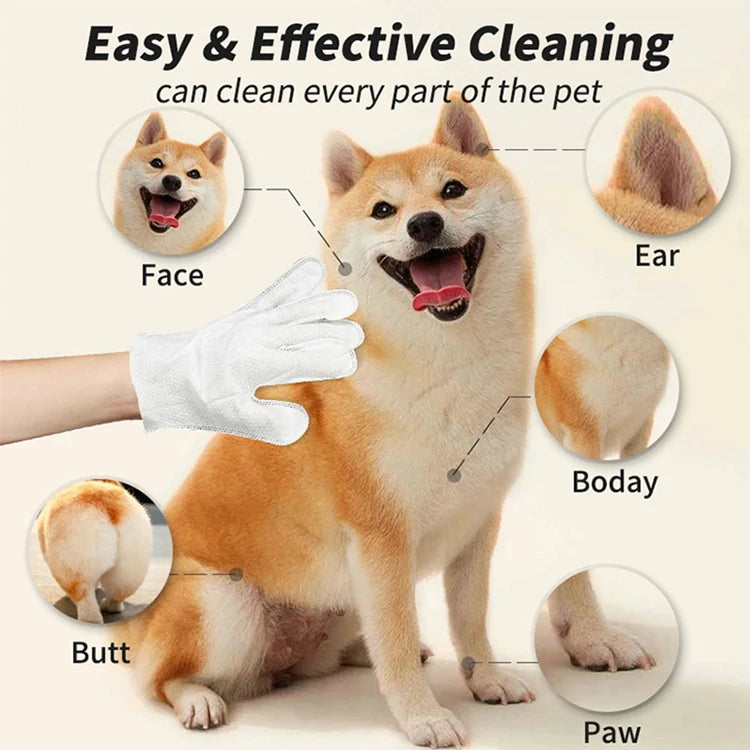 6Pcs Pet Wipes Gloves Free Cleaning Dog & Cat Wipes Puppies and Kittens Bathing Deodorization Paws Disposable Cleaning Gloves
