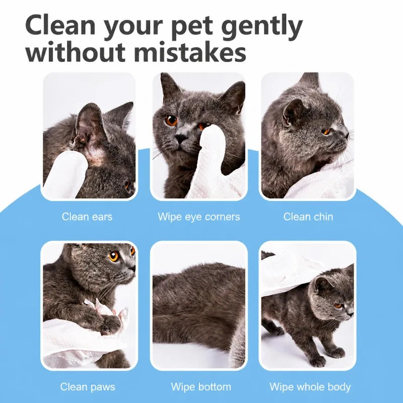 No-rinse Pet Cleaning Gloves Deodorant Wet Wipes for Cat Dog Fur Care Disposable Bath-free Grooming Tools Refresh Coat Remove